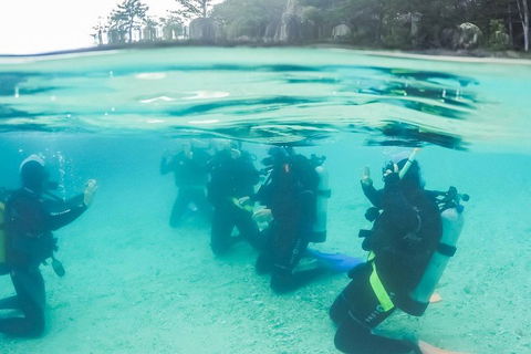 3 Day Whitsundays Sailing And Diving Adventure: Kiana - Redcliffe Tourism 4