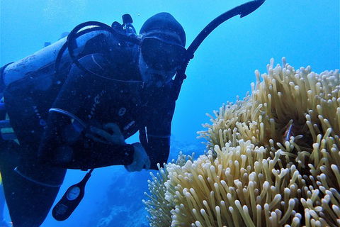 3 Day Whitsundays Sailing And Diving Adventure: Kiana - Redcliffe Tourism 5