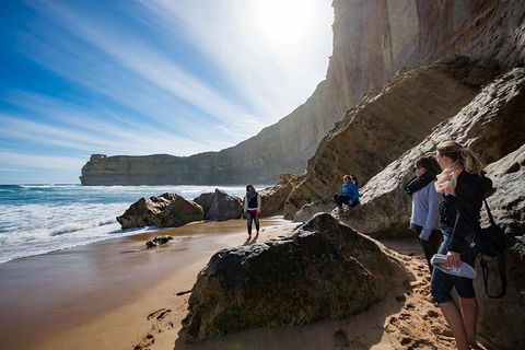 12 Apostles Eco-Friendly Great Ocean Road Iconic Adventure From Melbourne - Redcliffe Tourism 2