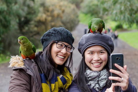 Small-Group Great Ocean Road And 12 Apostles Full-Day Tour From Melbourne - Redcliffe Tourism 0