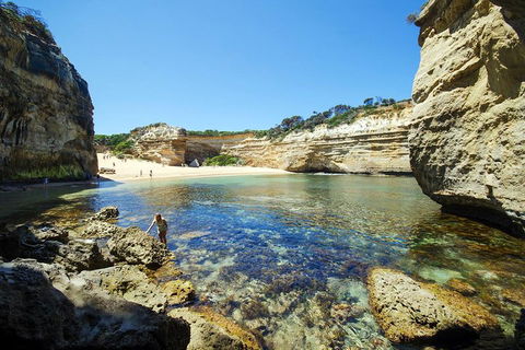 Small-Group Great Ocean Road And 12 Apostles Full-Day Tour From Melbourne - Redcliffe Tourism 5