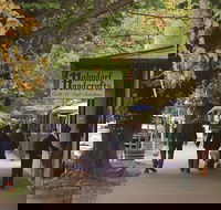 Adelaide Highlights Hahndorf  McLaren Vale Wine Tasting and Sightseeing Tour - Redcliffe Tourism