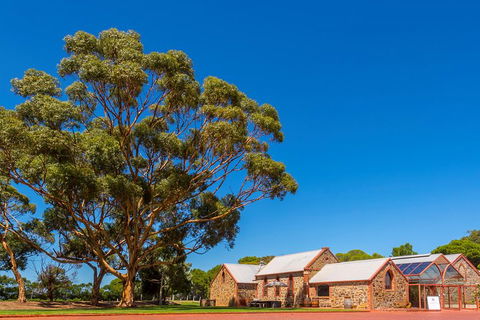 McLaren Vale And Glenelg Wine Tasting And Sightseeing (Half-day Afternoon) - Redcliffe Tourism 5