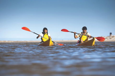 Kangaroo Island Self-Guided Kayaking On The Harriet River - Redcliffe Tourism 2