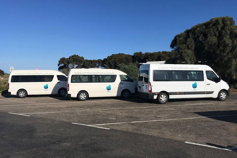 Great Ocean Road Reverse Itinerary Tour - Redcliffe Tourism 5