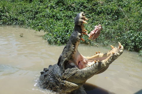 Litchfield And Jumping Crocodiles Full Day Trip From Darwin - Redcliffe Tourism 3