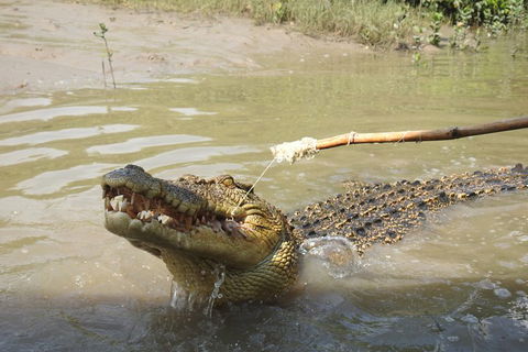 Litchfield And Jumping Crocodiles Full Day Trip From Darwin - Redcliffe Tourism 4