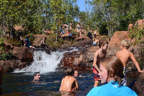 Litchfield And Jumping Crocodiles Full Day Trip From Darwin - Redcliffe Tourism 5