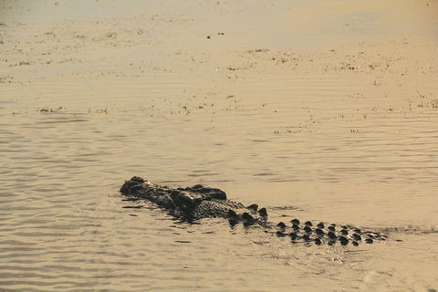 Yellow Water Cruise - Kakadu - Redcliffe Tourism 2