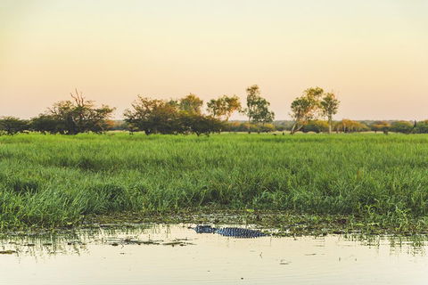 Yellow Water Cruise - Kakadu - Redcliffe Tourism 3