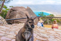 Book Viator Accommodation Vacations Redcliffe Tourism Redcliffe Tourism