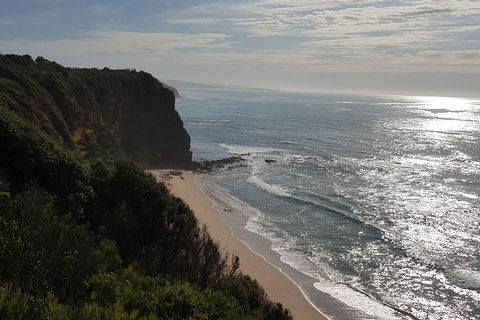 Full-Day Great Ocean Road Tour From Melbourne - Redcliffe Tourism 0