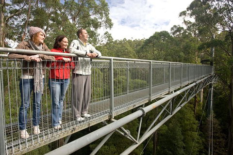 Adventure Sunset Three Day Great Ocean Road Tour - Redcliffe Tourism 0