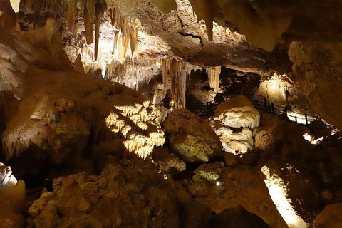 Ngilgi Cave Semi-guided Tour - Redcliffe Tourism 3