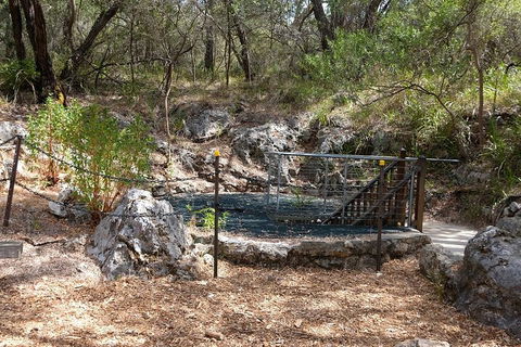 Ngilgi Cave Semi-guided Tour - Redcliffe Tourism 4