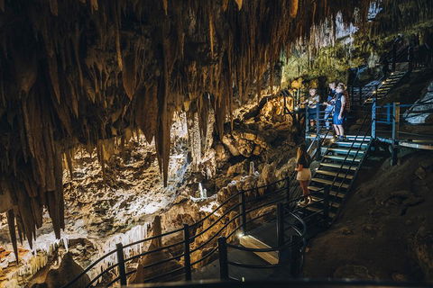 Ngilgi Cave Semi-guided Tour - Redcliffe Tourism 5