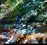 Aquaduck  Your choice of Gold Coast Rainforest Tour - Redcliffe Tourism