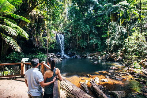 Aquaduck & Your Choice Of Gold Coast Rainforest Tour - Redcliffe Tourism 0