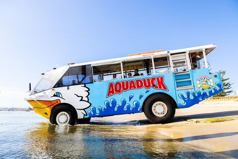 Aquaduck & Your Choice Of Gold Coast Rainforest Tour - Redcliffe Tourism 3