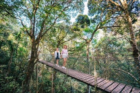 Aquaduck & Your Choice Of Gold Coast Rainforest Tour - Redcliffe Tourism 4