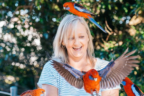 Aquaduck & Your Choice Of Gold Coast Rainforest Tour - Redcliffe Tourism 5