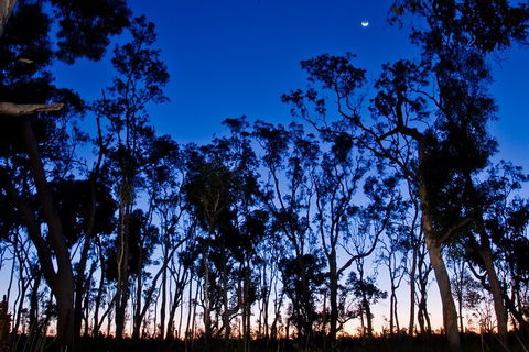 Small-Group Kangaroo Island 4WD Night Tour - Redcliffe Tourism 2