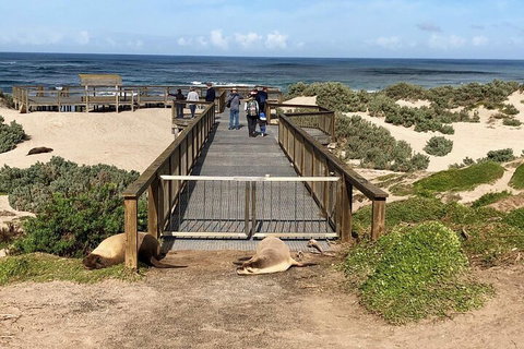 Kangaroo Island 4WD Tour - Best Of KI - Redcliffe Tourism 2