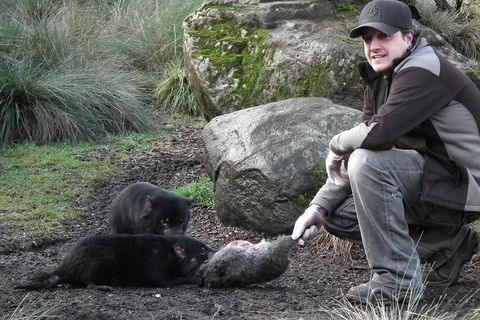After Dark Tasmanian Devil Feeding Tour At Cradle Mountain - Redcliffe Tourism 2