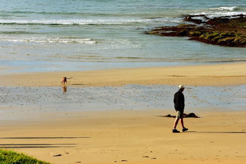 Ultimate Reverse Direction - 12 Apostles, Great Ocean Road - Small Group Tour - Redcliffe Tourism 1