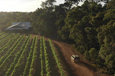 The All About Margaret River Tour: Wine, Coffee, Lunch And Forest - Redcliffe Tourism 1
