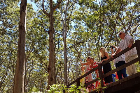 The All About Margaret River Tour: Wine, Coffee, Lunch And Forest - Redcliffe Tourism 3