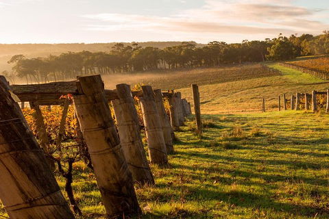 The All About Margaret River Tour: Wine, Coffee, Lunch And Forest - Redcliffe Tourism 5