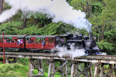 Puffing Billy And Healesville Sanctuary Scenic Tour - Redcliffe Tourism 2