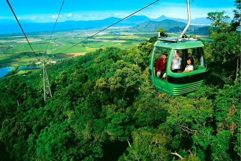 4-Day Cairns Ultimate Combo: Daintree Rainforest, Reef, Kuranda & Paronella Park - Redcliffe Tourism 1