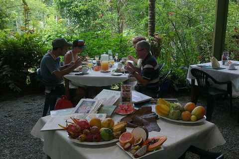 4-Day Cairns Ultimate Combo: Daintree Rainforest, Reef, Kuranda & Paronella Park - Redcliffe Tourism 4