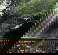 Mt Field and Styx Valley Photography Tour - Redcliffe Tourism