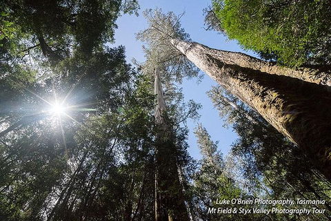 Mt Field And Styx Valley Photography Tour - Redcliffe Tourism 1