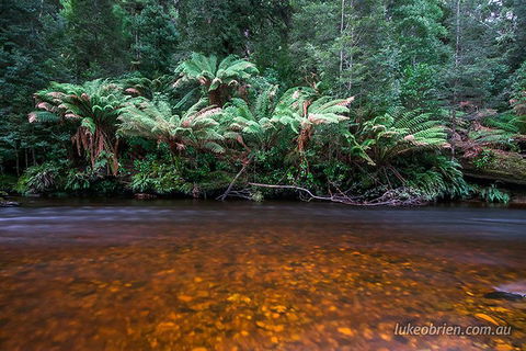 Mt Field And Styx Valley Photography Tour - Redcliffe Tourism 4