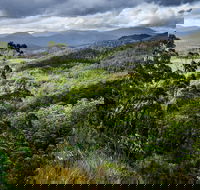 3-Day Tour to the Falls Mountains Lake  More of West Coast Tasmania - Redcliffe Tourism