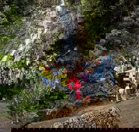 5-Day Lap of Tasmania Tour from Hobart flexible ticket - Redcliffe Tourism