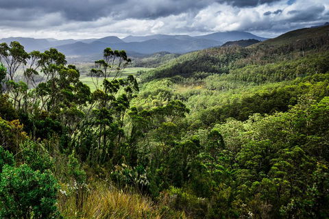 5-Day Lap Of Tasmania Tour From Hobart (flexible Ticket) - Redcliffe Tourism 2