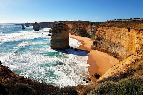Helicopter Flight + Fine Dining Private Luxury Great Ocean Road Tour - Redcliffe Tourism 4