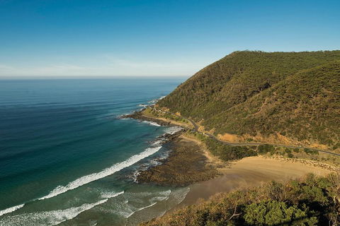 Great Ocean Road Adventure - Private Tour - Reverse - Redcliffe Tourism 2