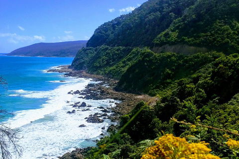 Great Ocean Road Adventure - Private Tour - Reverse - Redcliffe Tourism 3