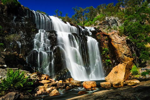 4 Day Group Camping Tour - Visit Grampians, Great Ocean Road And 12 Apostles - Redcliffe Tourism 5