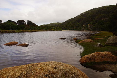 Private Tours From Melbourne - Redcliffe Tourism 2