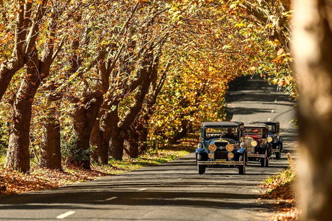 Blue Mountains Vintage Cadillac Tour With Local Guide - Redcliffe Tourism 1