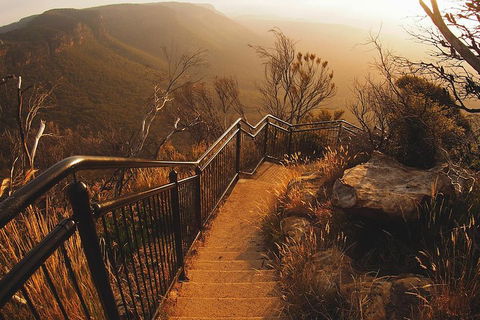 Blue Mountains Vintage Cadillac Tour With Local Guide - Redcliffe Tourism 3