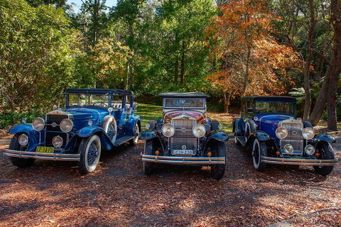 Blue Mountains Vintage Cadillac Tour With Local Guide - Redcliffe Tourism 4