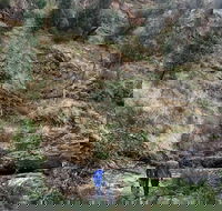 Grampians - Private Tour - Redcliffe Tourism